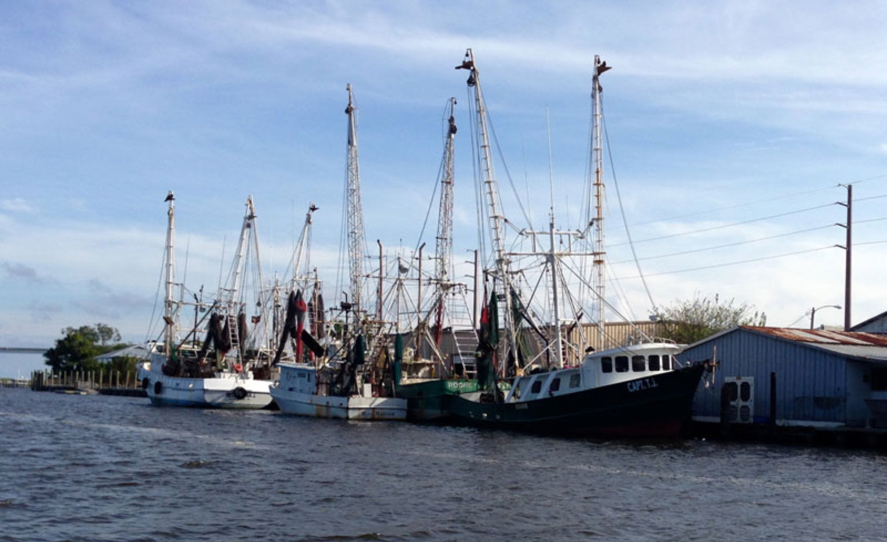 Apalachicola shrimp boats