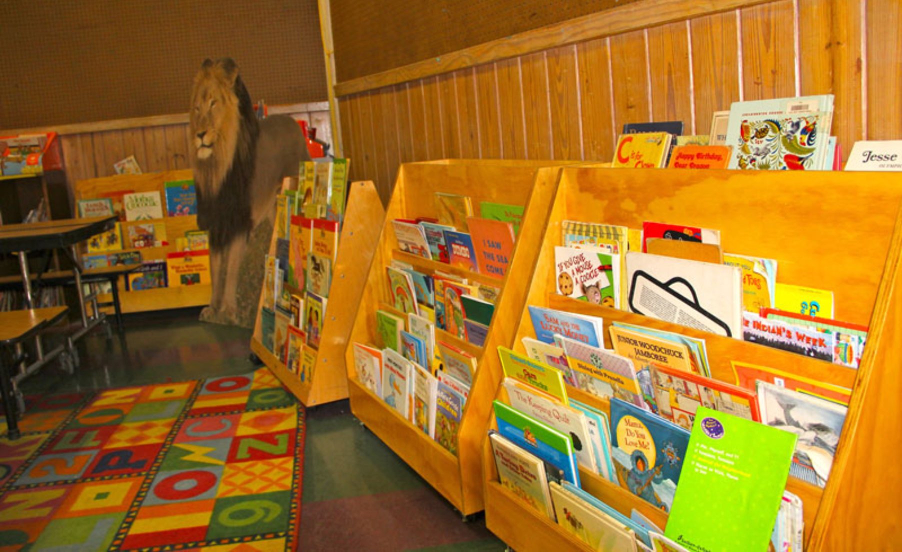Community Bookcases Provided by Bring Me A Book Franklin